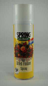 Frühling Trockenblumenspray 300 ml