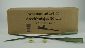 Box mit 100 Anthurium-Steckröhren 30 cm
