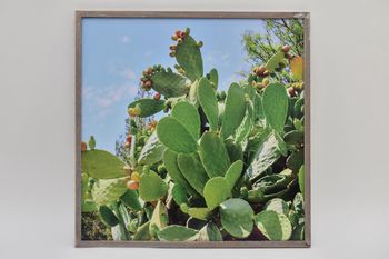 Buiten canvas cactus in frame 58x58cm