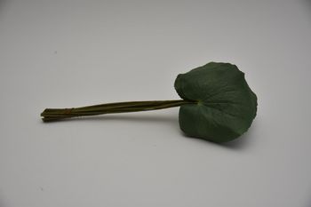 Single medium galax leaf green pak a 24