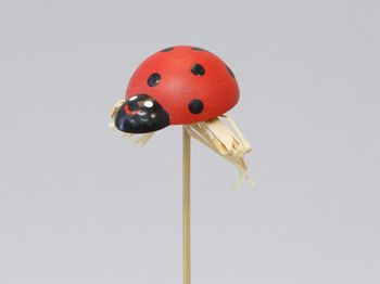 cb. 72 wooden beetles/stick red 3,5x2,5 cm