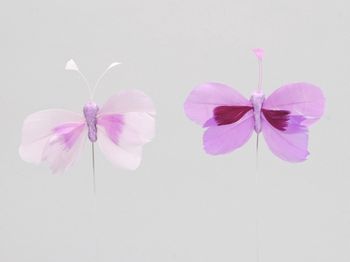 w/b. 48 butterflies/pick lilac 8 cm