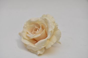 Iced rose head w/clip Reims 14cm Champagne