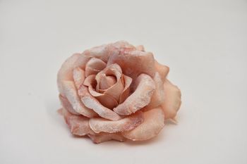 Iced rose head w/clip Reims 10cm Peach