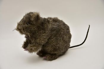 Rat bruin 34 cm