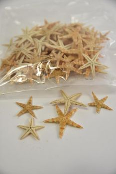 Sugar starfish 2-3cm naturel 100pcs