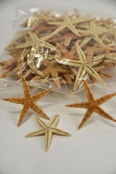 Sugar starfish 5-7cm natural 100pcs