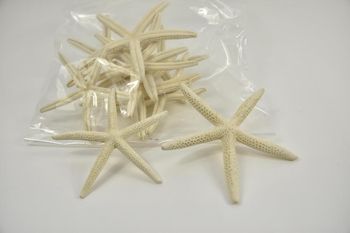 Finger starfish 10-15cm bleached 10pcs