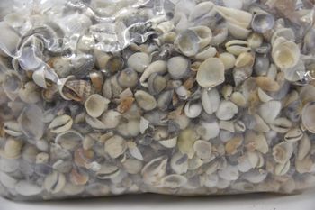 Shell mix small 1kg