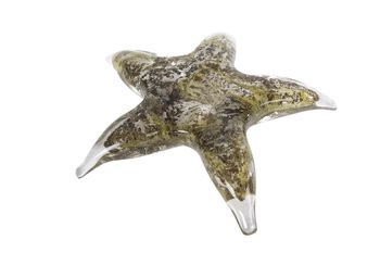 Sculptuur "Starfish" grijs/groen glas 15,5x14,5x3,5cm