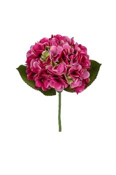 Hortensia l45cm cersie