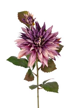 Dahlia l70cm paars