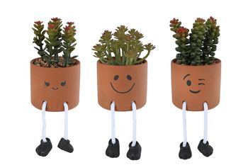 Bloempotje "mile met plantje terra 3 assortie aardewerk 8,5x8,5x13cm