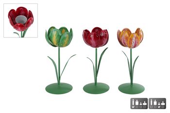 Kandelaar/theelichth "Tulip" S 3 assortie metaal 8x8x20cm