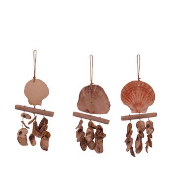 Hanger nature with shells 12x2x22cm 3 assorti Natural