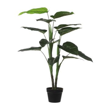 Philodendron in pot groen - h100xd70cm