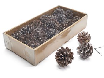 Pinus Nigra frosted white 18pcs on 10cm wire