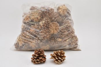 PINUS PINEA 
MIXED BLEACHED POLY/75 PC