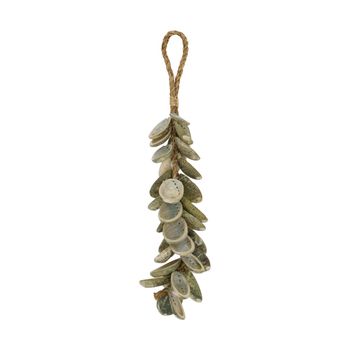 Hanger abalone shell nature 40x6x6cm Natural