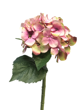 Hydrangea Artist dk pink 48cm