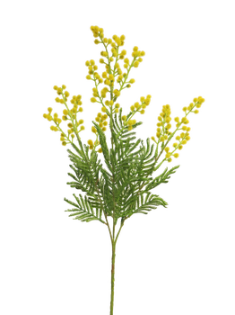 Mimosa Eloise yellow 68cm