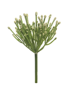 African flower green 23cm
