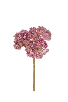 Sedum pick l20cm oud roze