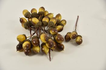 cb. 36 acorn/wire light brown 25 mm
