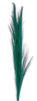 Broom grass bundle turquoise 75 cm