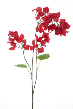 Bougainvillea spray Ibiza red 102cm