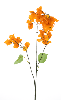 Bougainvillea spray Ibiza orange 102cm