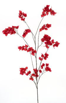 Bougainvillea branch Ibiza red 175cm