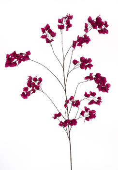 Bougainvillea branch Ibiza beauty 175cm