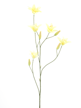 Day lily spray yellow 106cm