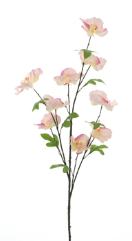 Wild camellia spray pink 102cm