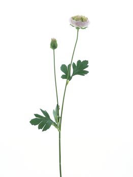 New ranunculus spray Flaine lt pink 55cm