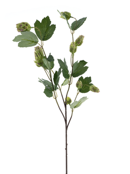 Hop spray La Choeffe green 76cm