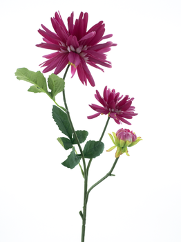 Dahlia spray New York beauty 76cm