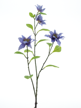 Juwel Clematis Spray Lavendel 75cm