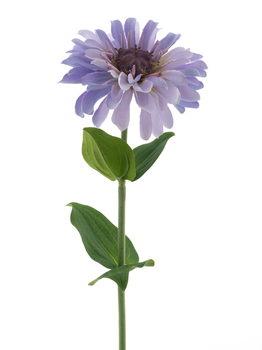 Zinnia spray lavender 58cm