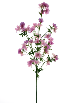 Delphinium spray Utah pink 123cm