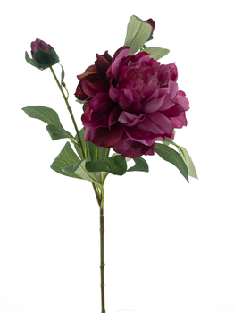 Paeony spray Sango beauty 66cm