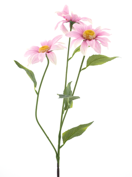 Royal daisy spray pink 76cm