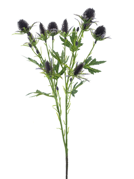 Sea holly spray purple 68cm