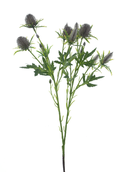 Sea holly spray grey 68cm