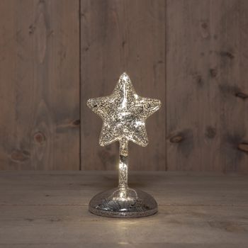 STER OP STAM GLAS LED OP BATTERIJ MET TIMER H19CM ZILVER