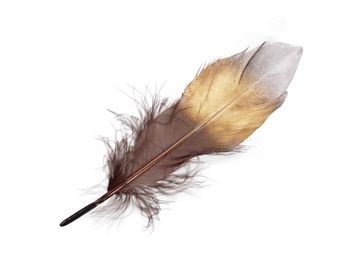 cb. 16 goose feathers brown gold/silver 14-16cm