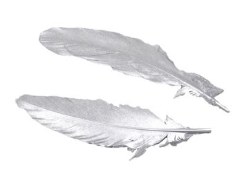 cb. 12 goose feathers silver 16-18cm