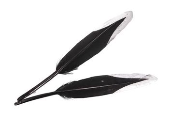 cb. 16 goose feathers black/silver 13-15 cm
