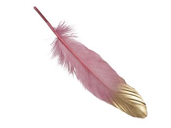 pb. 24 feathers/loose pink 18-20 cm